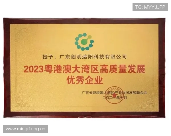 深圳企业家勇立潮头引领创新驱动推动湾区高质量发展新格局